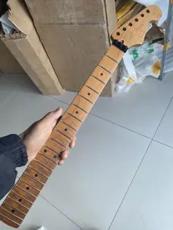 REPLACEMENT 22FRETS ELECTRIC