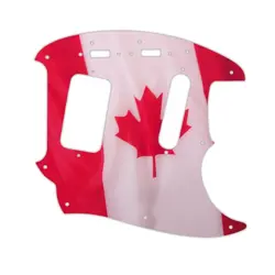 90'S JAG-STANG CANADIAN