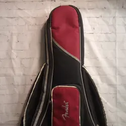 ELECTRIC GUITAR PADDED