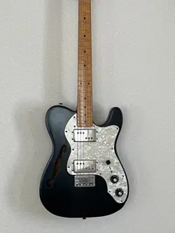 FENDER JAPAN TELECASTER THINLINE E SERIAL