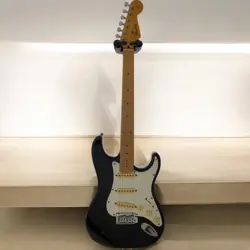 STRAT STYLE USED