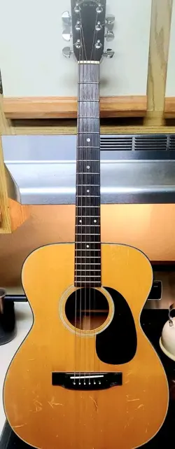 CONDITION FENDER BAG