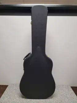 6-STRING ACOUSTIC ELECTRIC