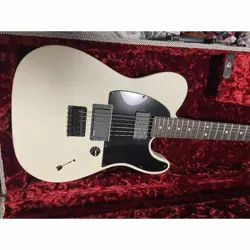 FENDER JIM ROOT TELECASTER VERY BEAUTIFUL