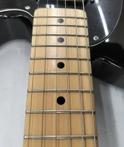 JAPAN TERECASTER