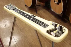 DELUXE 1960S ELECTRIC