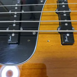 AMERICAN DELUXE ELECTRIC