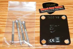 FENDER STRATOCASTER NECK PLATE ERIC JOHNSON USA CHROME GUITAR PARTS VA STRAT