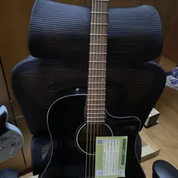 ECO GUITAR