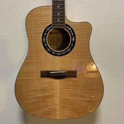 FLAME ACOUSTIC GUITAR