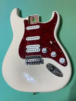 PROJECT GUITAR BODY