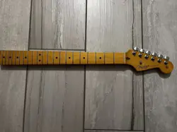 MAPLE W/ FENDER