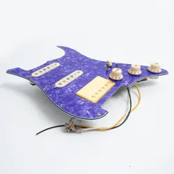 PICKGUARD SET ALNICO