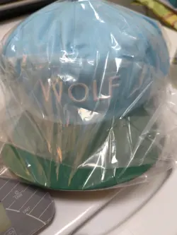 THE CREATOR EXPEDITED