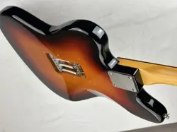 FENDER CASE EXCELLENT