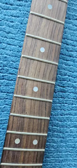 BUILD PROJECT LUTHIER