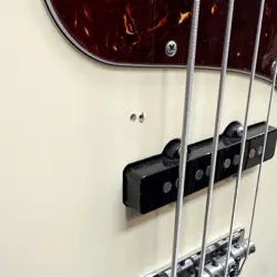 NON-ORIGINAL GIG CASE