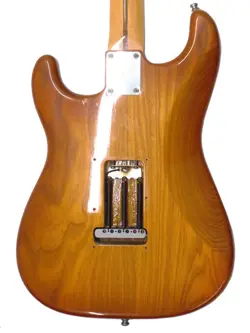 SHOP ELECTRIC GUITAR
