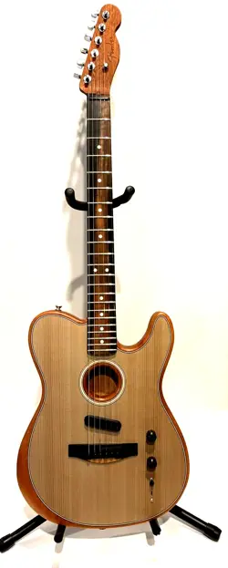 FINISH W/ULTIMATE GIG