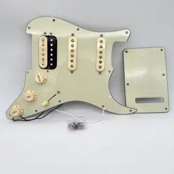 PICKGUARD 25007