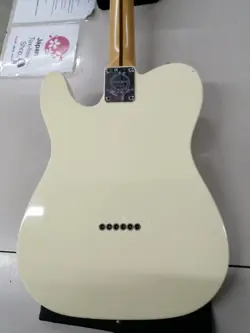 MAPLE NECK/FINGERBOARD W/GIGCASE
