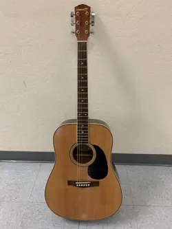 STARCASTER MODEL 0910104125