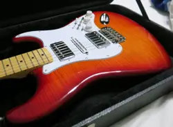 ELECTRIC GUITAR RR