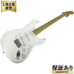 STRATOCASTER PLAYER MN
