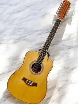 ACOUSTIC-ELECTRIC 12