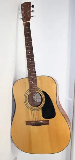 FENDER DG-8S  (13004371)