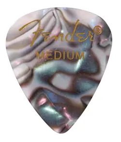 351 MEDIUM ABALONE