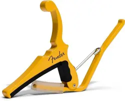 GUITAR CAPO IN
