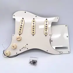 PICKGUARD 25008