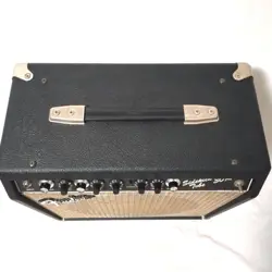 FENDER SIDEKICK 30R