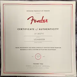 FENDER AMERICAN PROFESSIONAL II STRATOCASTER (P10017243)