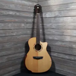 WASHBURN WCG25SCE