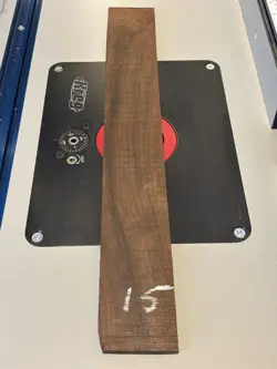 FRETBOARD. GUITAR GIBSON