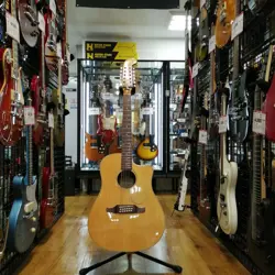 STRINGS ACOUSTIC ELECTRIC