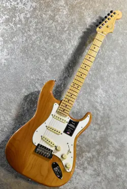 ROASTED PINE US22136033