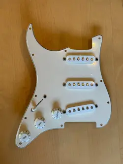 LOADED PICKGUARD PLAYER