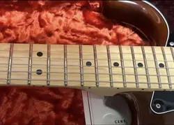 STRATOCASTER WALNUTM