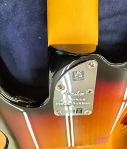 FENDER ELECTRIC BASS AM PRO P BASS MN 3TS