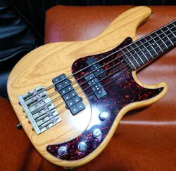 5-STRING ROSEWOOD 2001