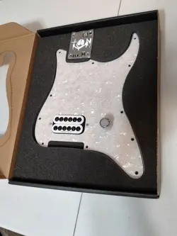 LOADED PICKGUARD NECK