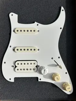 LOADED PICKGUARD BACK