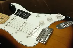 STRATOCASTER MAPLE ANNIVERSARY