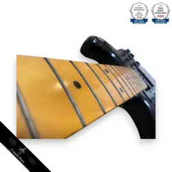 PICKUPS BLACK PICKGUARD