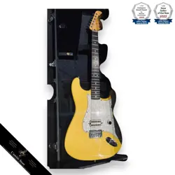 DELONGE SIGNATURE GUITAR