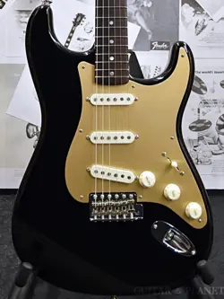 FENDER CUSTOM SHOP ~CUSTOM SHOP ONLINE LIMITED EDITION~ ROASTED STRATOCASTER SPE