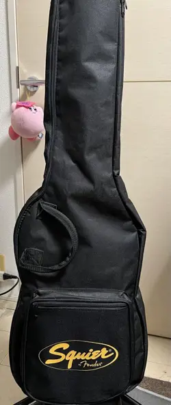 TELECASTER SPECIAL USED